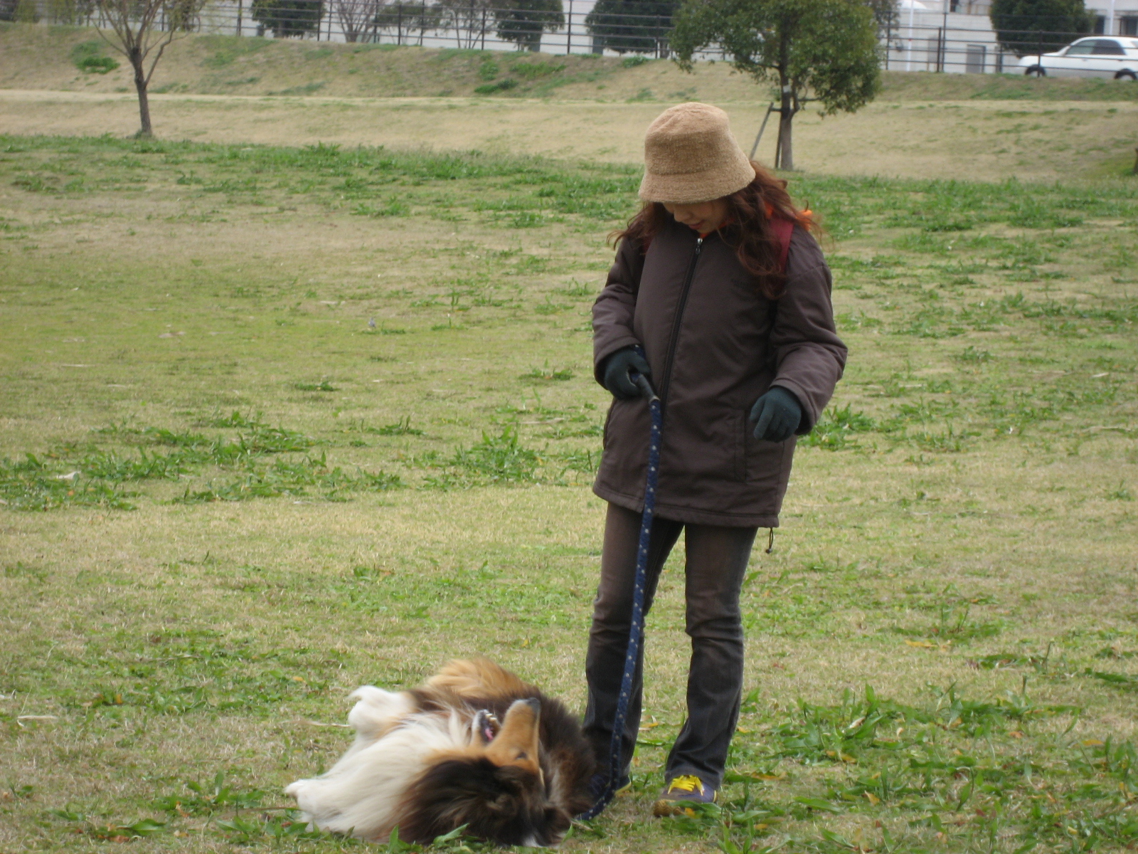 http://www.lucky-dog.jp/weblog/image/IMG_0234.JPG
