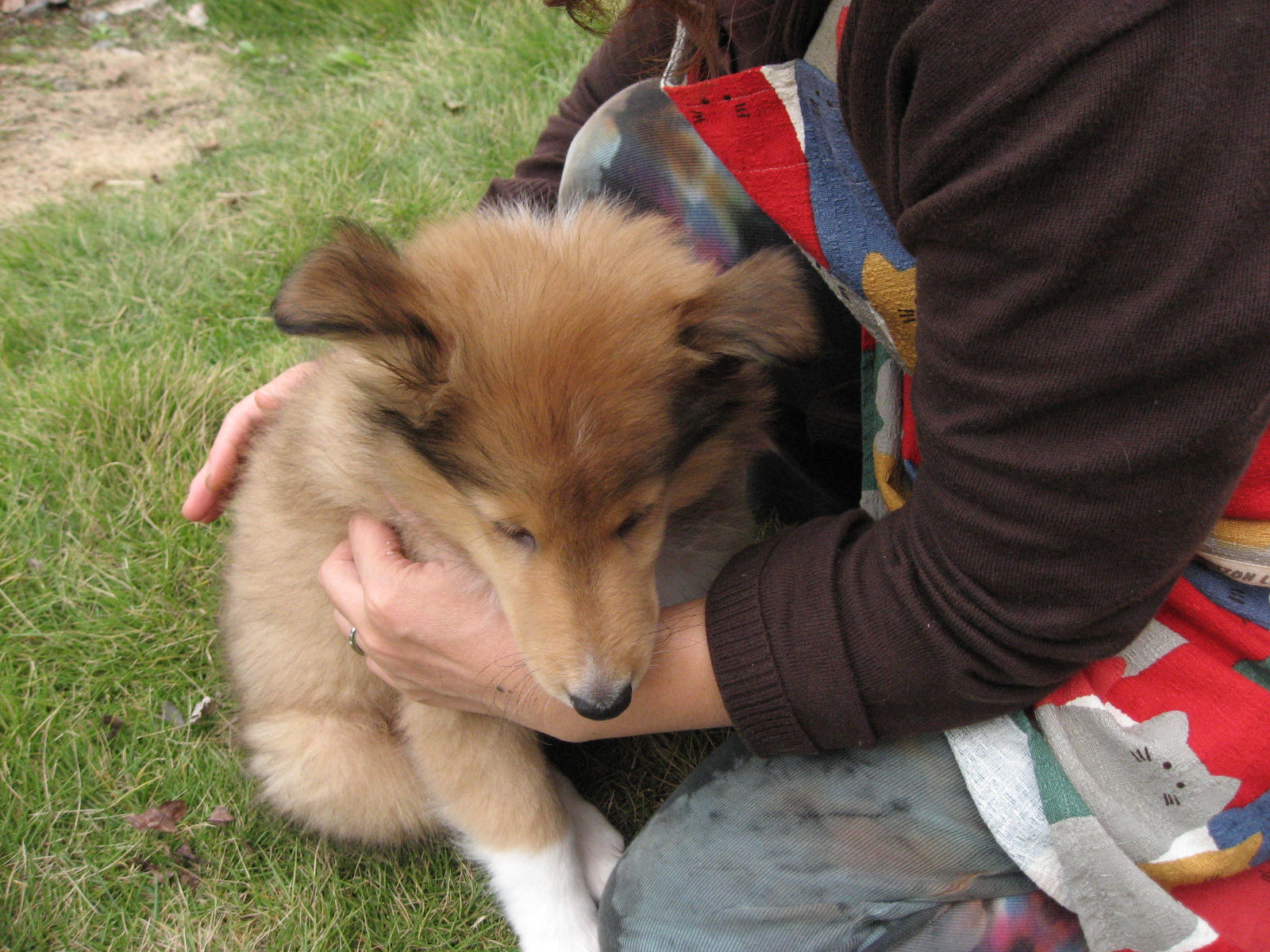 http://www.lucky-dog.jp/weblog/image/IMG_2433.JPG